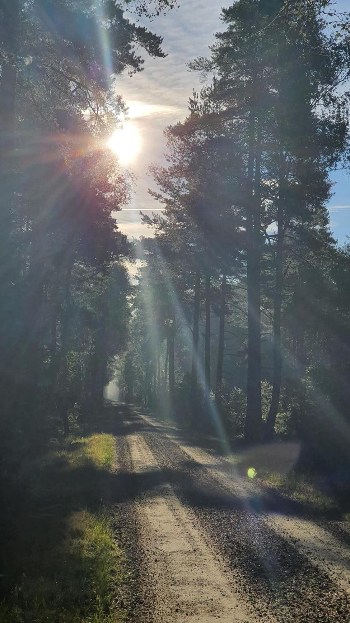 Soedra Ljunga Vandrarhem Ljungby  Esterno foto